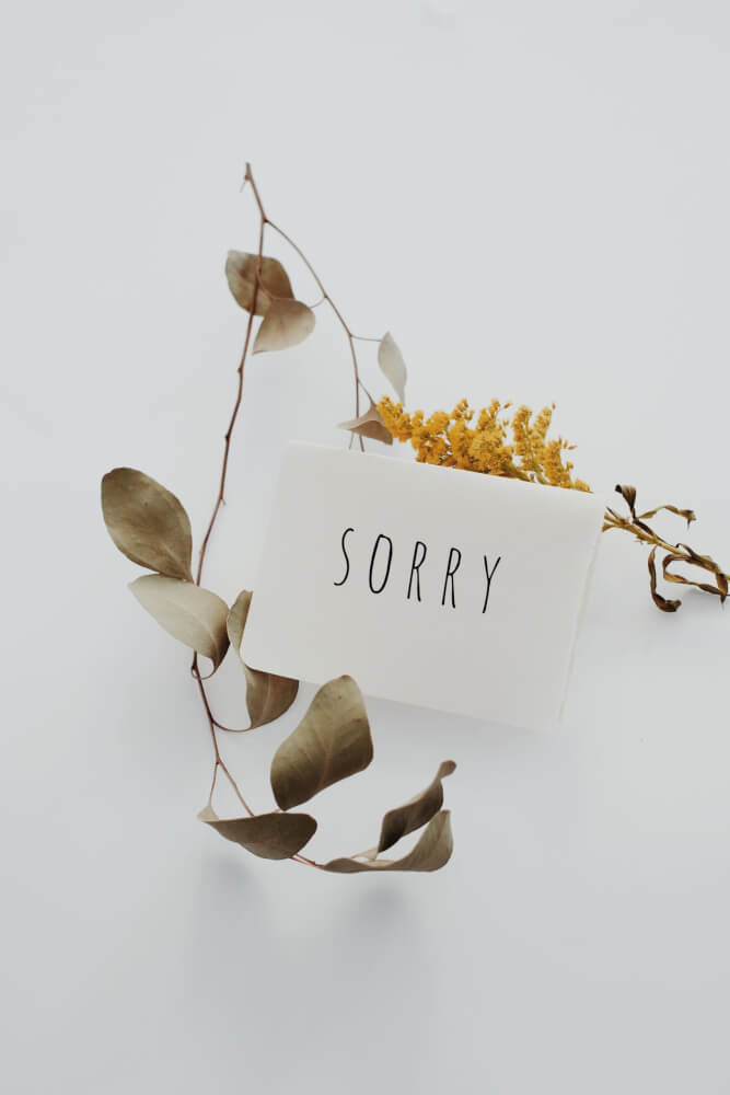 how to say sorry